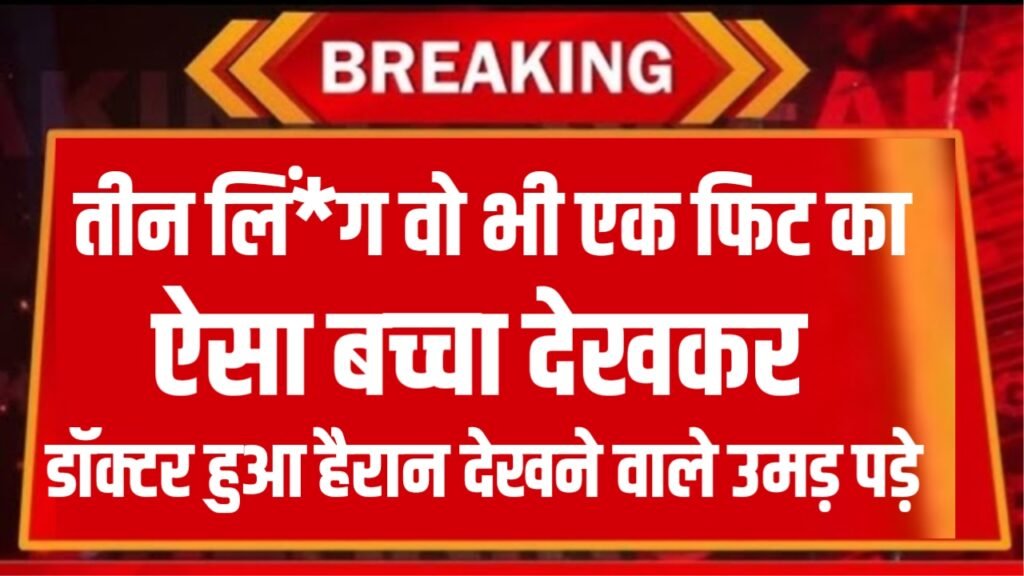 Jio New Recharge : जियो का दिवाली धमाका नया रिचार्ज प्लान लॉंच। सिर्फ इतने में ही अनलिमिटेड कॉल और डाटा भी