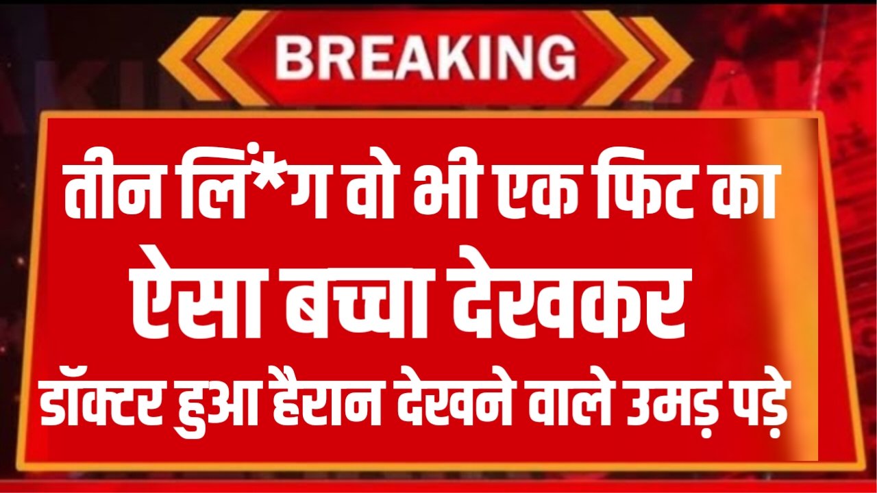 Jio New Recharge : जियो का दिवाली धमाका नया रिचार्ज प्लान लॉंच। सिर्फ इतने में ही अनलिमिटेड कॉल और डाटा भी