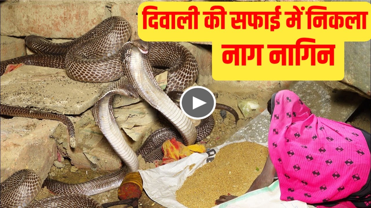 BSNL Recharge Plan बीएसएनल का वह सस्ते रिचार्ज प्लान जो हर यूजर को पसंद आने वाले हैं। ऐसे करें रिचार्ज