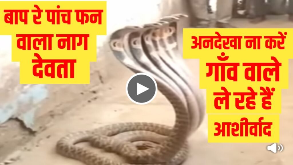 Jio Dhamaka Recharge Plan