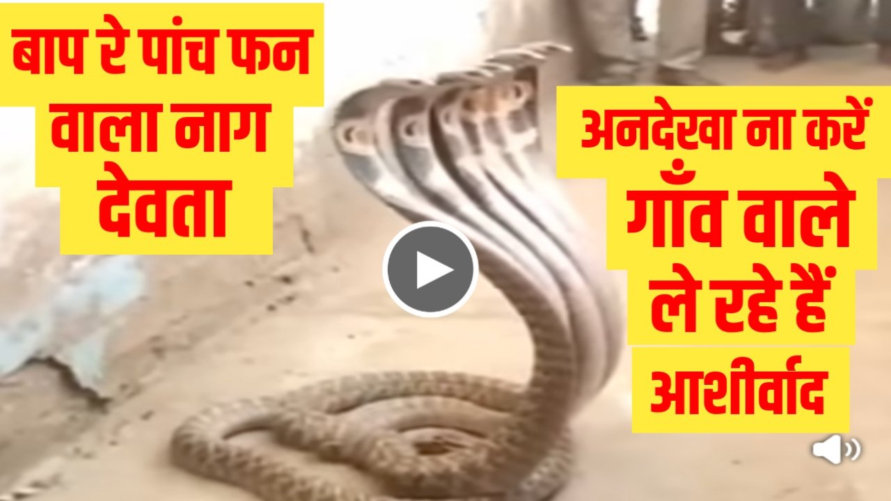 Jio Dhamaka Recharge Plan